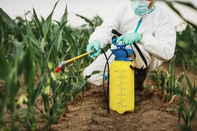 Global Nematicides Market 2025: Analysis & Growth with Trends