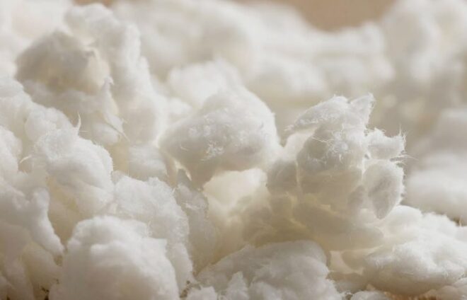 Global Regenerated Cellulose Market 2027 – Size, Growth Trends & Forecast