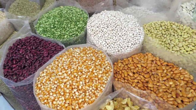 India Seed Market Forecast 2025 - Overall Growth & Opportunities