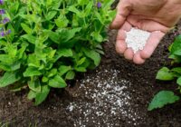 United States Fertilizers Market 2025 – Forecast & Projected Growth