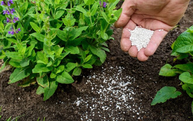 United States Fertilizers Market 2025 – Forecast & Projected Growth