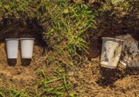 Compostable Plastics Market - Overview, Industry Growth, Size & Forecast