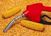 India Ethanol market stood at USD2805.38 million in 2021 & may grow at a CAGR of 12.68% during the forecast period. Free Sample in PDF.