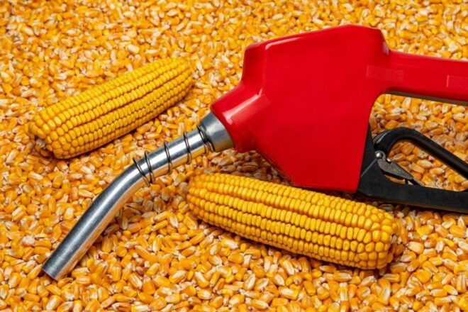 India Ethanol market stood at USD2805.38 million in 2021 & may grow at a CAGR of 12.68% during the forecast period. Free Sample in PDF.