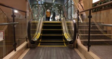 Japan elevator & escalator market was valued at 2.54 Billion in 2019 & is expected to be valued at USD 3.19 Billion by 2025. Free Sample.