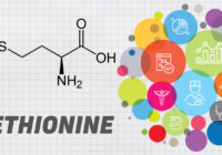 Vietnam Methionine Market is projected to grow at a robust CAGR over the next five years, get a FREE Sample Report Now for Insights.