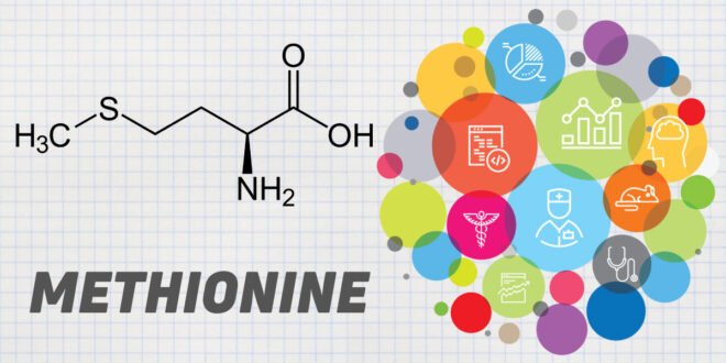 Vietnam Methionine Market is projected to grow at a robust CAGR over the next five years, get a FREE Sample Report Now for Insights.