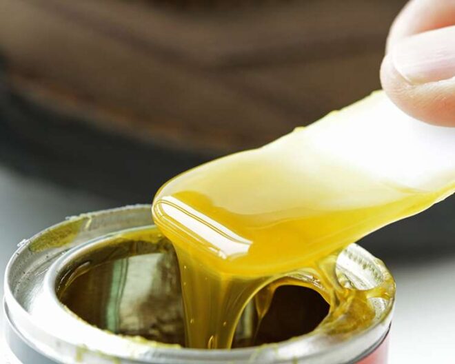 The United States contact adhesive market is projected to grow at a single-digit CAGR during 2021-2027. Get a Free Sample Report Now.