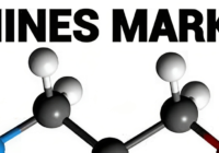Global Amines Market has valued at USD16.8 billion in 2022 & further grow with a CAGR of 4.56% through 2028. Free Sample Report.
