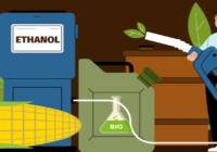 India Ethanol Market was valued at USD 6512.27 Million in 2023 and is expected to grow with a CAGR of 16.06% by 2029. Download Sample.