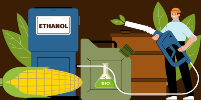 India Ethanol Market was valued at USD 6512.27 Million in 2023 and is expected to grow with a CAGR of 16.06% by 2029. Download Sample.