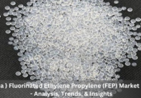 China Fluorinated Ethylene Propylene (FEP) Market stood at USD80.36 million in 2022 and will grow with a CAGR of 4.35% in the forecast.