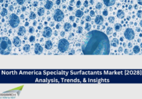 North America Specialty Surfactants Market stood at USD 8.80 billion in 2022 and is expected to grow with a CAGR of 5.14% in the forecast.