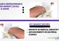 The Global Resorbable (Bioresorbable) Polymers Market stood at USD 418.25 million in 2022 and is expected to grow with a CAGR of 4.95%