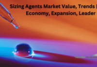 Global Sizing Agents Market stood at USD3.86 billion in 2022 and is expected to grow with a CAGR of 4.28% in the forecast 2023-2028. 