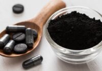 Global Charcoal Market