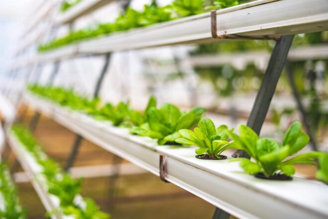 Global Aquaponics Market