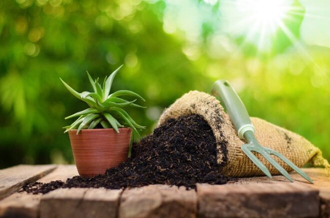 Global Organic Fertilizer Market