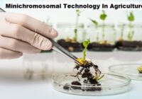 Minichromosomal Technology in Agriculture Market