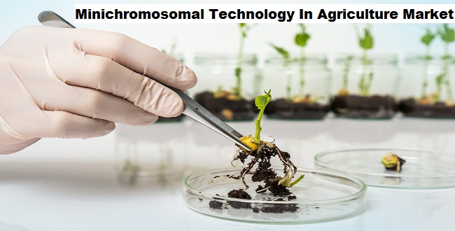 Minichromosomal Technology in Agriculture Market