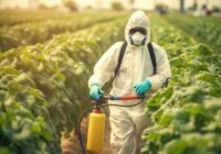 Global Pesticides Market