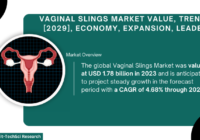 Global Vaginal Slings Market stood at USD 1.78 billion in 2023 & will grow with a CAGR of 4.68% in the forecast period, 2025-2029. 