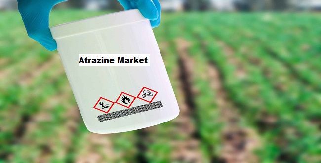 Global Atrazine Market