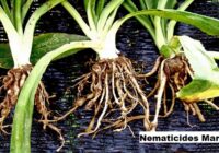 Global Nematicides Market