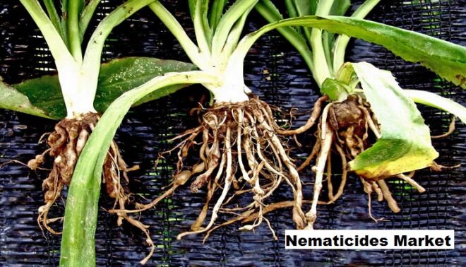 Global Nematicides Market