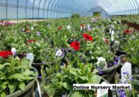 Global Online Nursery Market