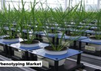 Global Plant Phenotyping Market