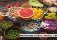 Global Water-Soluble Vitamins & Minerals in Feed Market