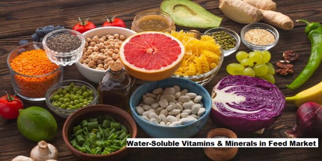 Global Water-Soluble Vitamins & Minerals in Feed Market