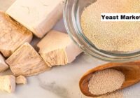 Global Yeast Market