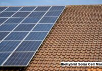 Global Biohybrid Solar Cell Market