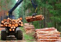 Global Forestry and Logging Market