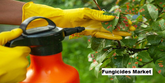 Global Fungicides Market