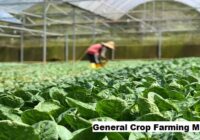 Global General Crop Farming Market