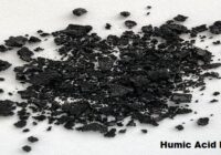 Global Humic Acid Market