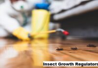 Global Insect Growth Regulators Market