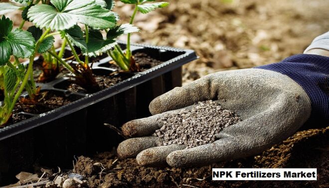 Global NPK Fertilizers Market