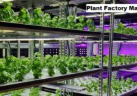 Global Plant Factory Market