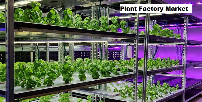 Global Plant Factory Market