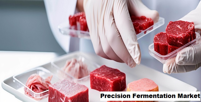 Global Precision Fermentation Market