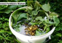 Global Seaweed Fertilizers Market