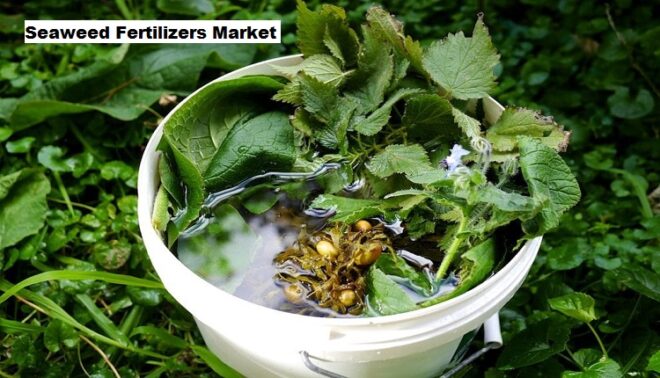 Global Seaweed Fertilizers Market