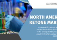 the North America Ketone Market Size is USD 269.71 million in 2022 and this market is anticipated to increase at a CAGR of 4.91%.