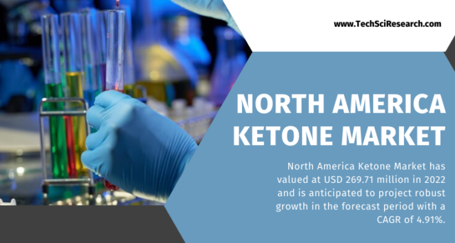 the North America Ketone Market Size is USD 269.71 million in 2022 and this market is anticipated to increase at a CAGR of 4.91%.