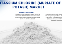 The global Potassium Chloride (Muriate of Potash) Market reached 77.95 MMT in 2022 and is projected to expand at a 3.48% CAGR from 2024 to 2028.