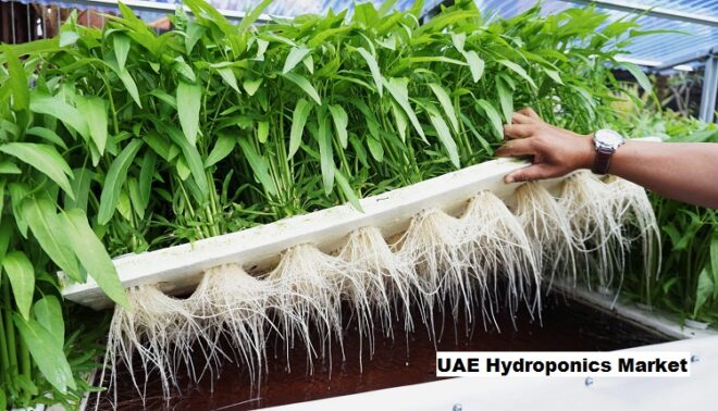UAE Hydroponics Market